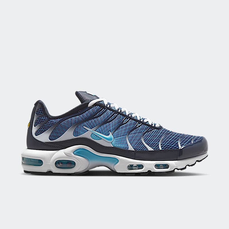 Nike Air Max Plus "Dark Obsidian" | IH4460-400