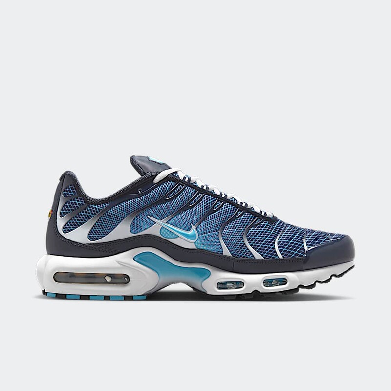 Nike Air Max Plus "Dark Obsidian" | IH4460-400