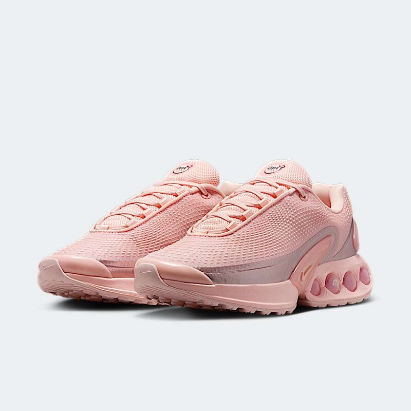 Nike Air Max Dn "Washed Coral" | HV4861-601