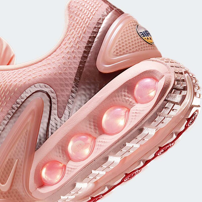 Nike Air Max Dn "Washed Coral" | HV4861-601