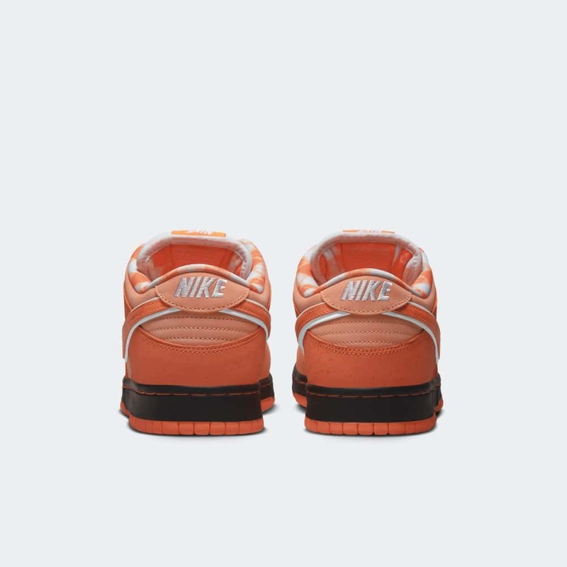 Concepts x Nike SB Dunk Low Orange Lobster | FD8776-800