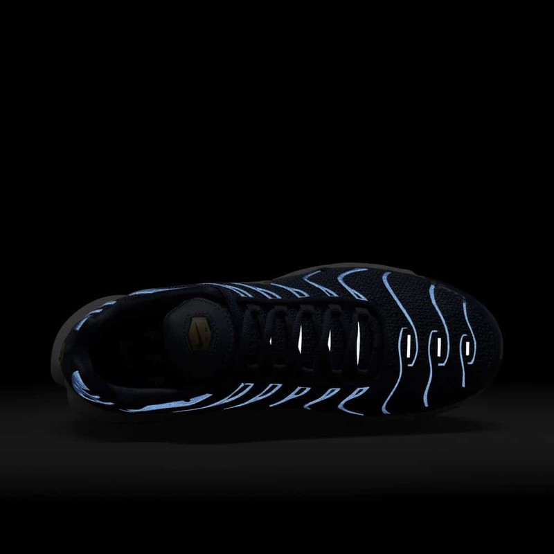 Nike Air Max Plus FFF | FB3350-400