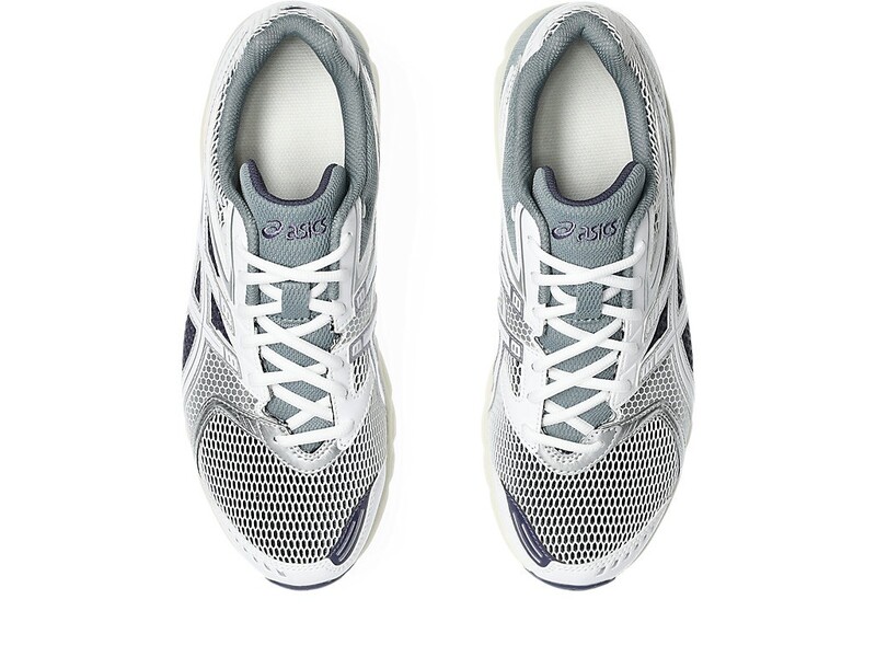 Asics Gel-DS Trainer 14 "Pure Silver" | 1203A607-100