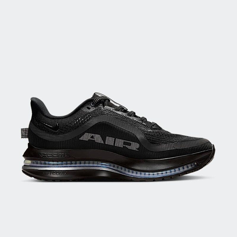 Nike Pegasus Premium "Black/Metallic Silver" | HQ2593-004