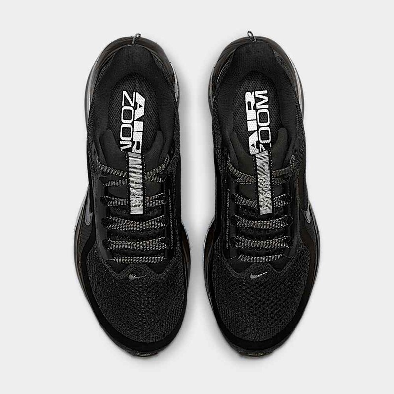 Nike Pegasus Premium "Black/Metallic Silver" | HQ2593-004
