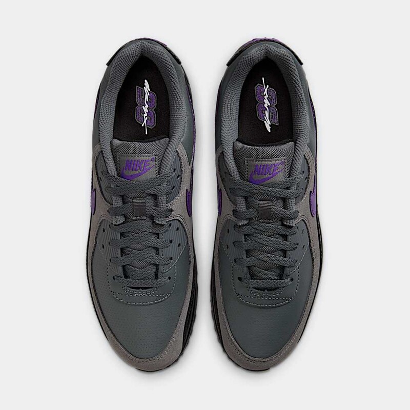 Nike Air Max 90 "Wild Grape" | IF0670-004