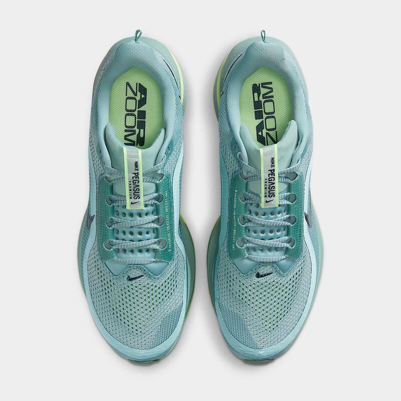 Nike Pegasus Premium "Cannon" | HQ2592-009