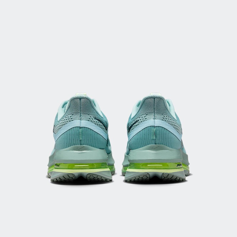 Nike Pegasus Premium "Cannon" | HQ2592-009
