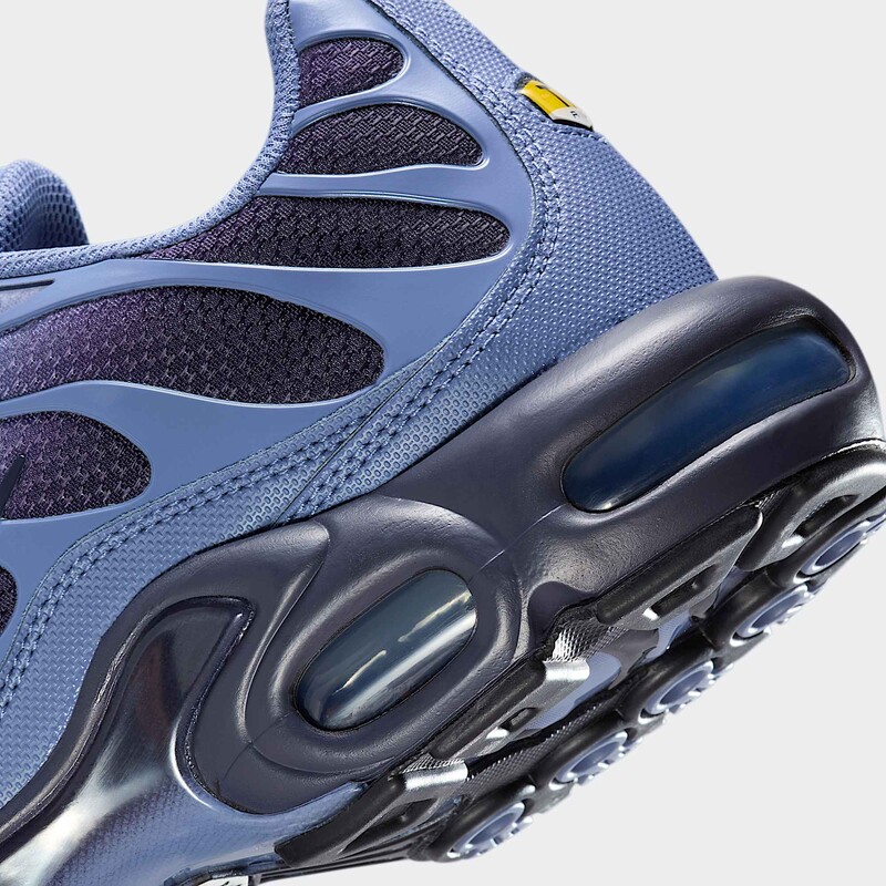 Nike Air Max Plus "World Indigo" | DM0032-404