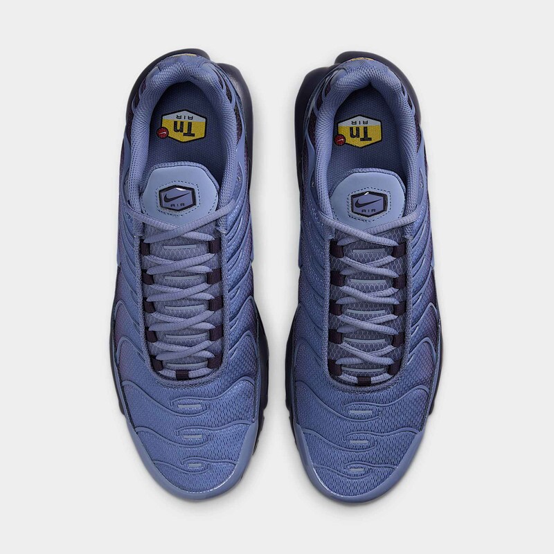 Nike Air Max Plus "World Indigo" | DM0032-404