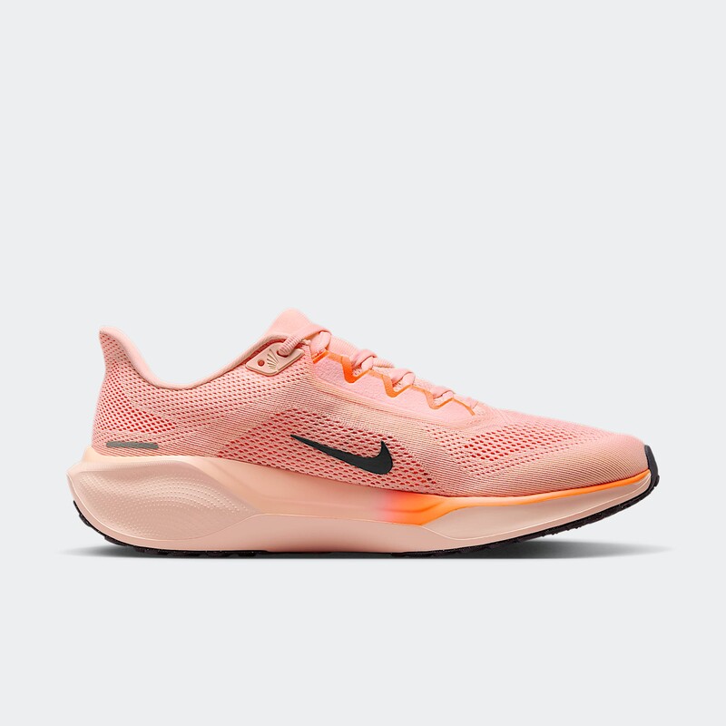 Nike Pegasus 41 "Crimson Tint" | FD2722-801
