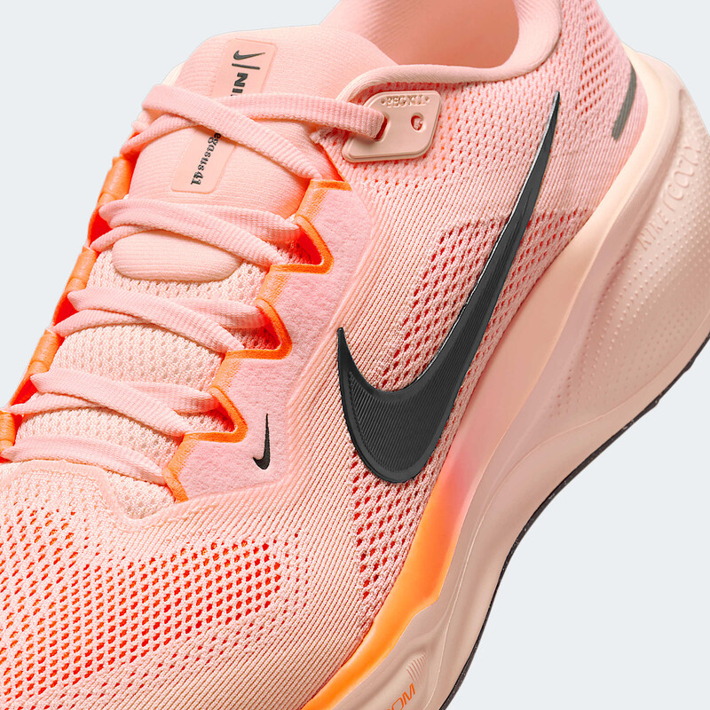 Nike Pegasus 41 "Crimson Tint" | FD2722-801