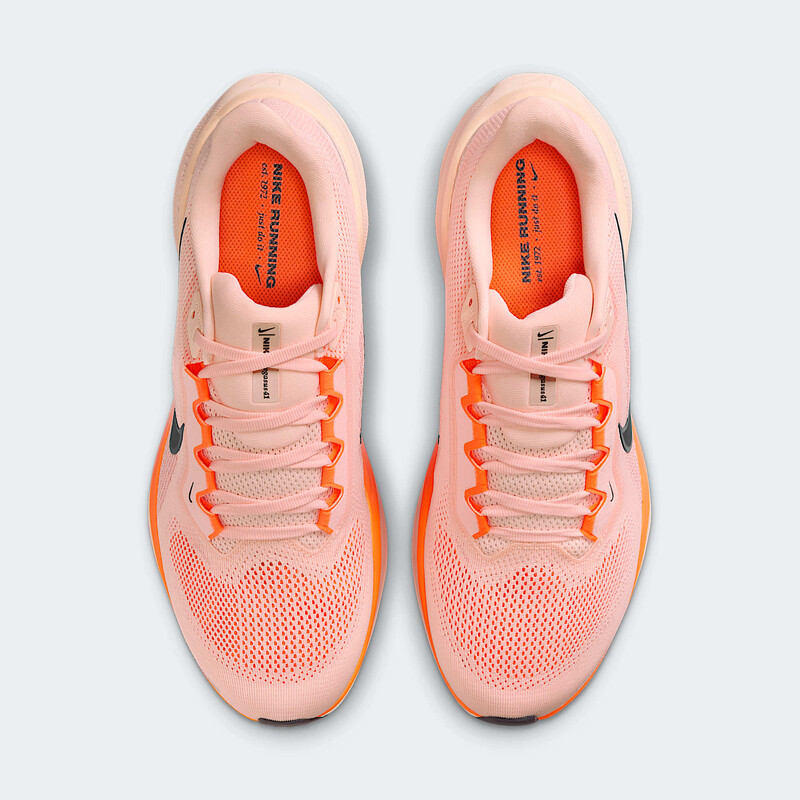 Nike Pegasus 41 "Crimson Tint" | FD2722-801
