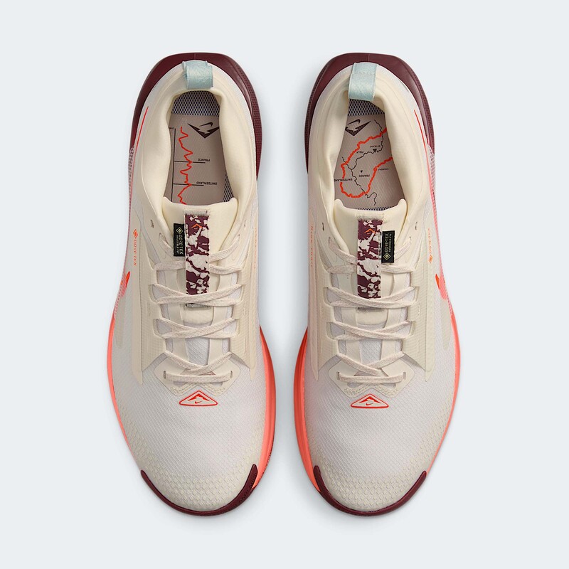 Nike Pegasus Trail 5 GTX "Silt Red" | FQ0908-104