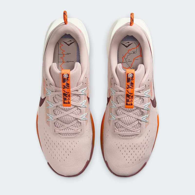 Nike Pegasus Trail 5 "Silt Red" | DV3864-600