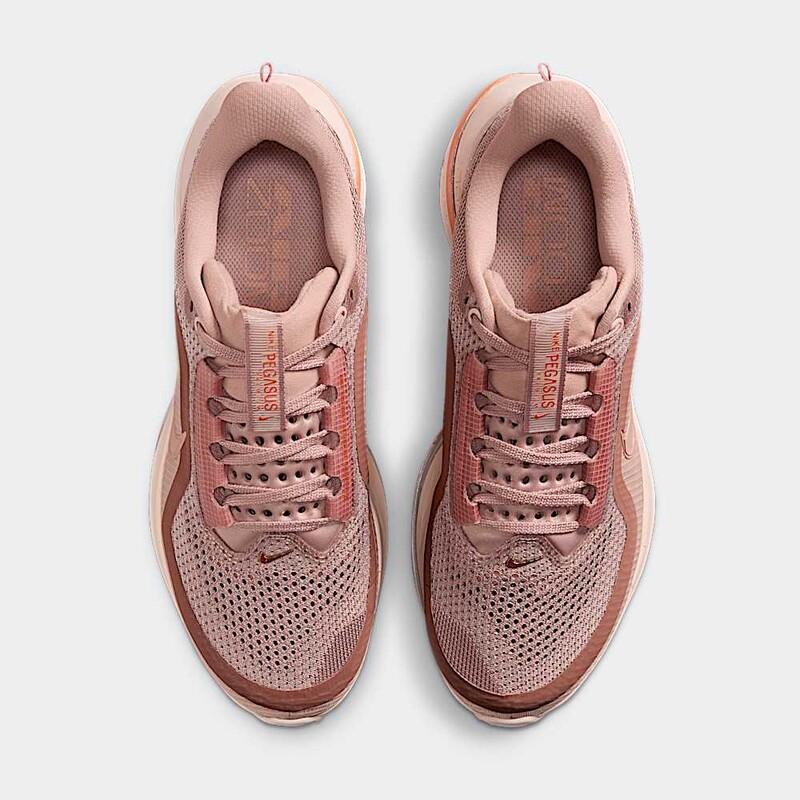 Nike Pegasus Premium "Metallic Rose Gold" | HQ2593-603