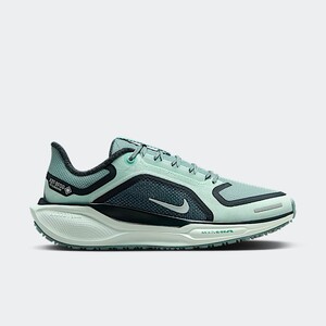 Nike Pegasus 41 GORE-TEX "Cannon" | FQ1357-003