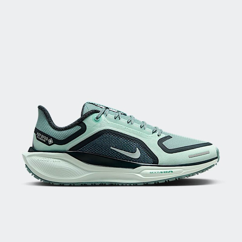 Nike Pegasus 41 GORE-TEX "Cannon" | FQ1357-003
