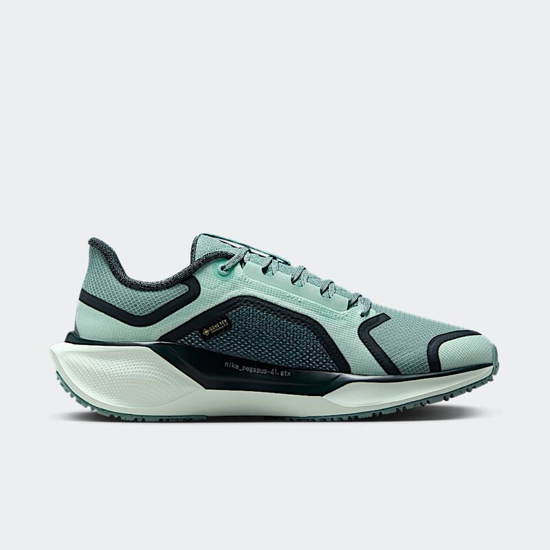 Nike Pegasus 41 GORE-TEX "Cannon" | FQ1357-003