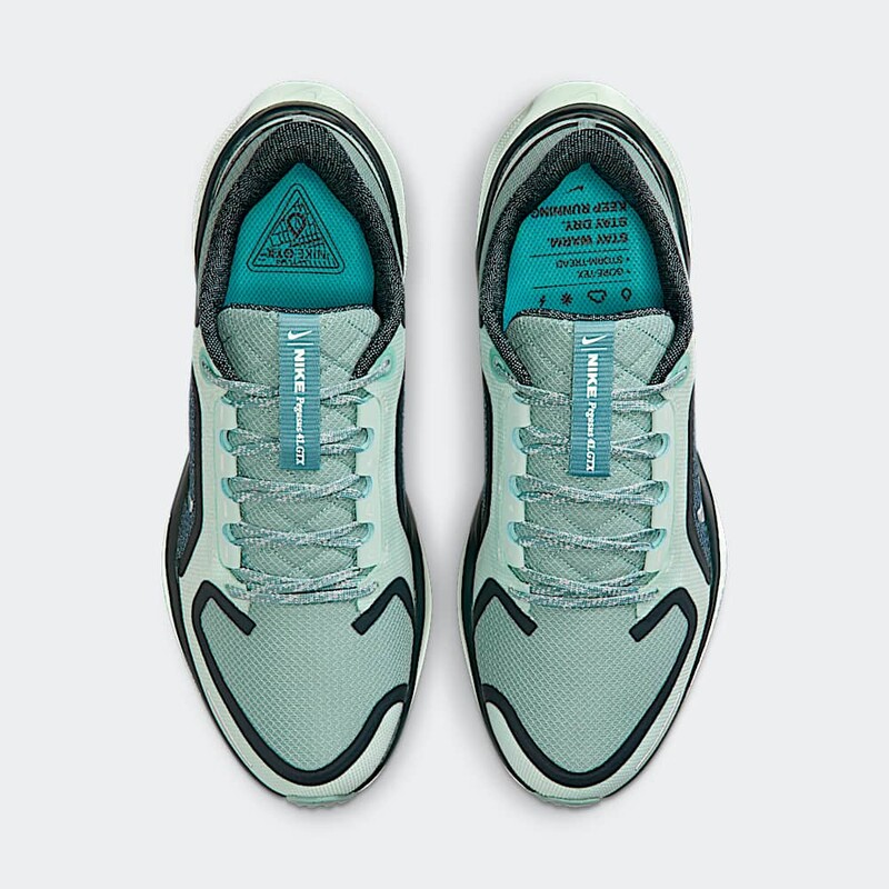 Nike Pegasus 41 GORE-TEX "Cannon" | FQ1357-003