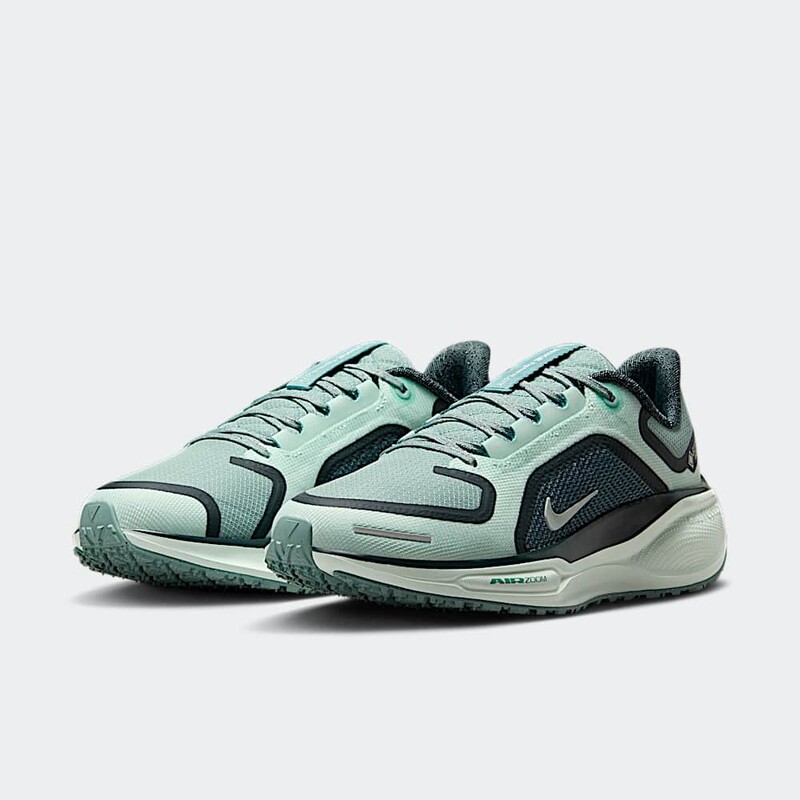 Nike Pegasus 41 GORE-TEX "Cannon" | FQ1357-003