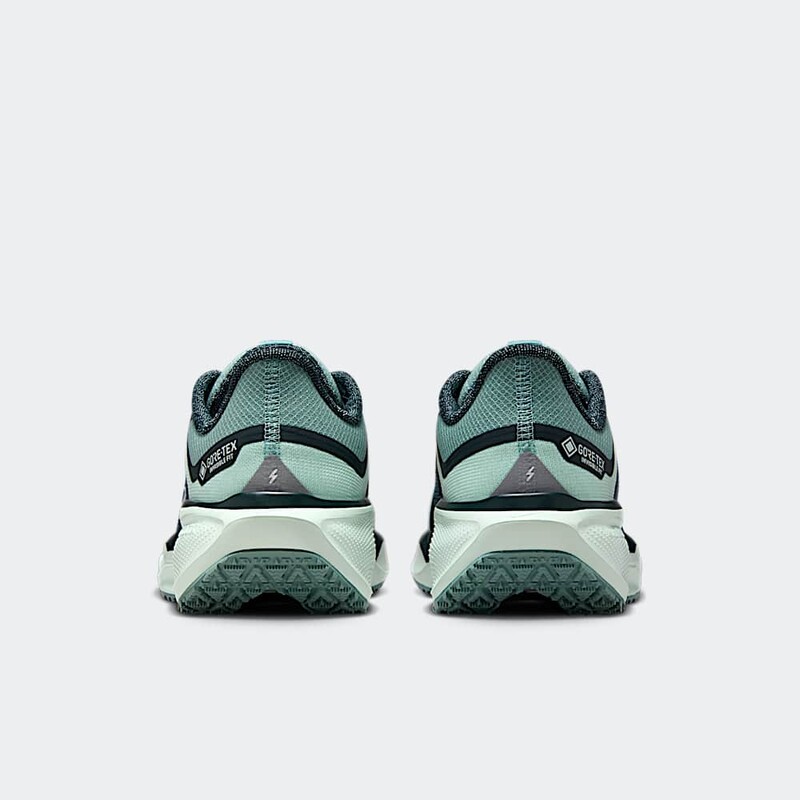 Nike Pegasus 41 GORE-TEX "Cannon" | FQ1357-003