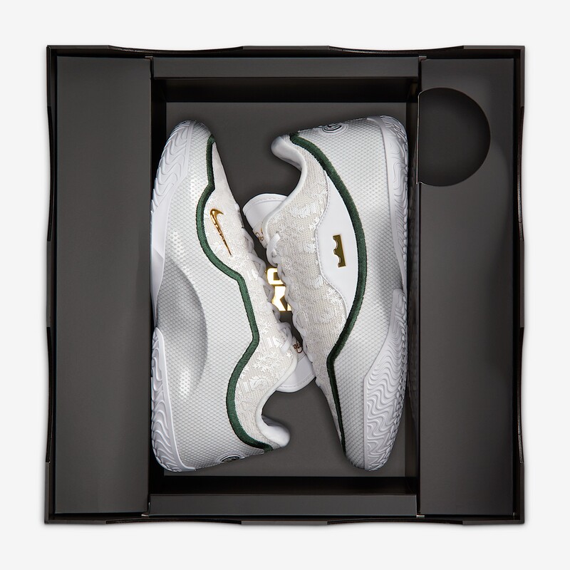 Nike LeBron 23 "From This Point Forward" | IB9563-101