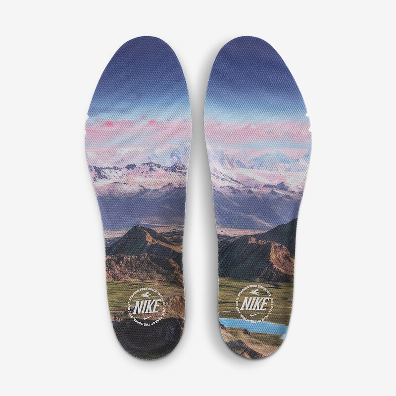 Nike Pegasus Premium "Pencil Point" | IQ1130-001