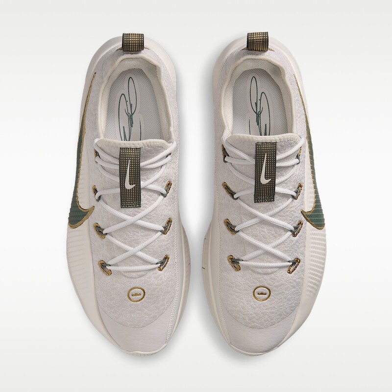 Nike LeBron TR 1 "Phantom" | FJ6151-009 Nike LeBron TR 1 "Phantom" | FJ6151-009