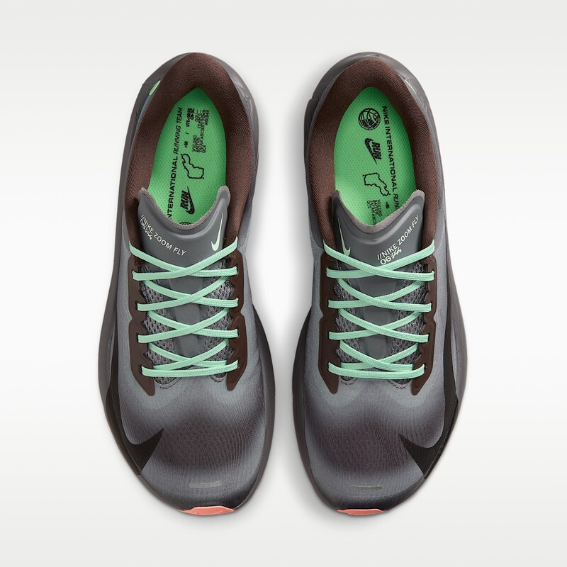 Nike Zoom Fly 6 "Baroque Brown" | IW2352-200