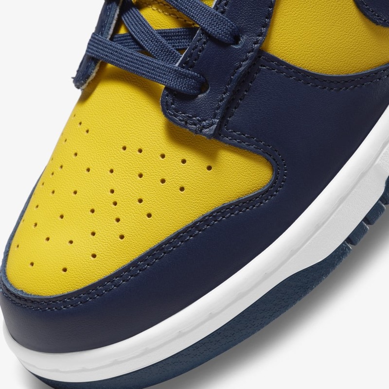 Nike Dunk Low Michigan | DD1391-700