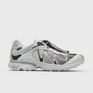Salomon XT-Whisper GTX "Gray Violet" | L49192300
