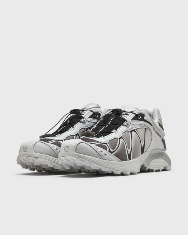 Salomon XT-Whisper GTX "Gray Violet" | L49192300 Salomon XT-Whisper GTX "Gray Violet" | L49192300