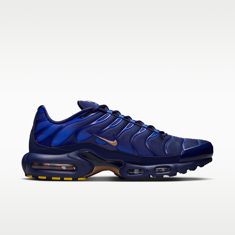 Nike Air Max Plus "French Football Federation" | IQ0170-400