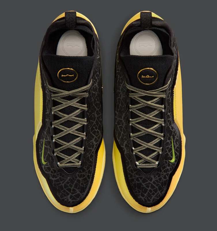 Nike LeBron 23 Elite "Hurt Feelings Write History" | IB9557-002 Nike LeBron 23 Elite "Hurt Feelings Write History" | IB9557-002