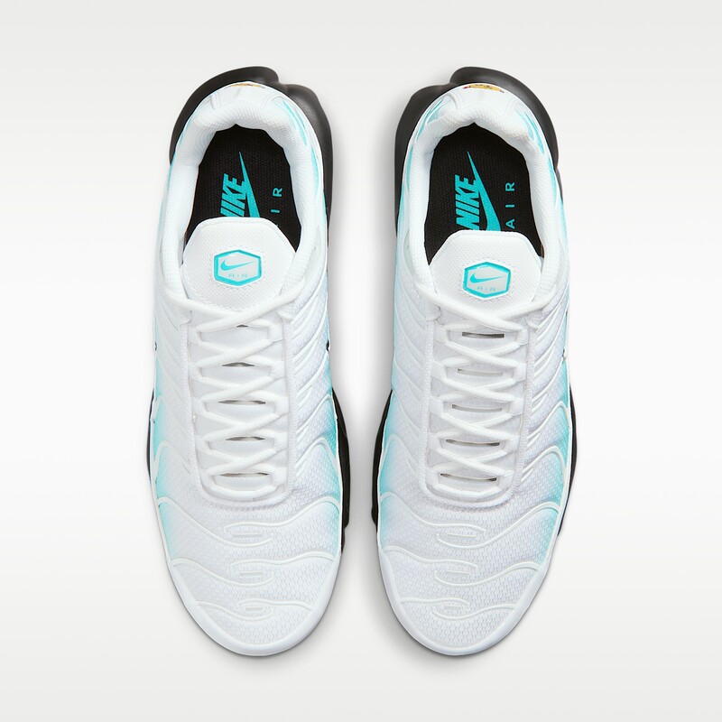 Nike Air Max Plus "Dusty Cactus" | IU7539-345