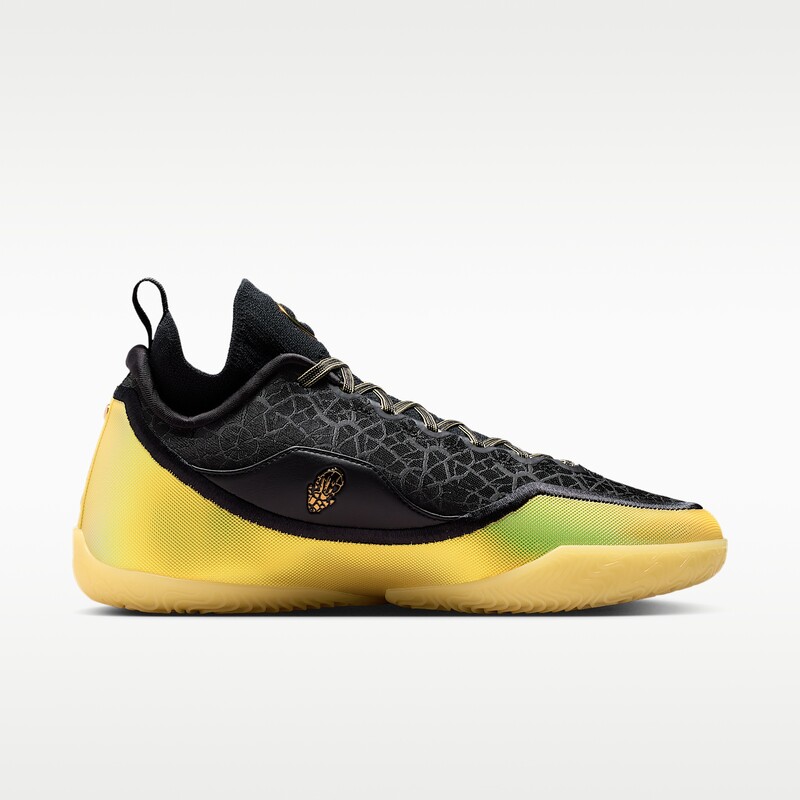 Nike LeBron 23 Elite "Hurt Feelings Write History" | IB9557-002