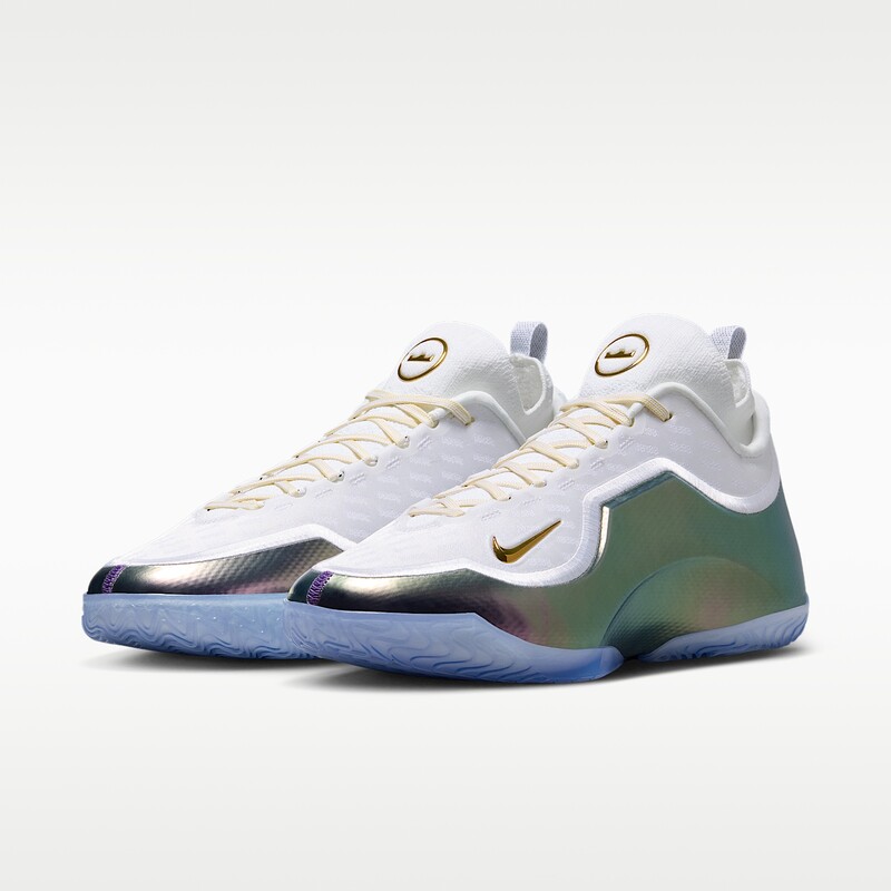 Nike LeBron 23 Elite "For the Record" | IB9557-100