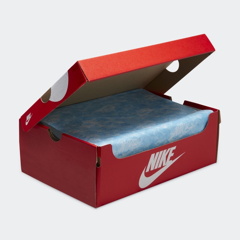 Nike Dunk Low "Rainbow Trout" | FN7523-300