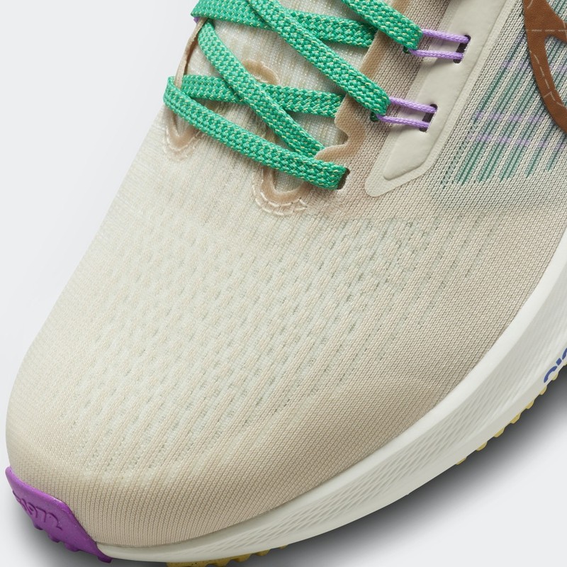 Nike Pegasus 39 Premium | DV8922-100
