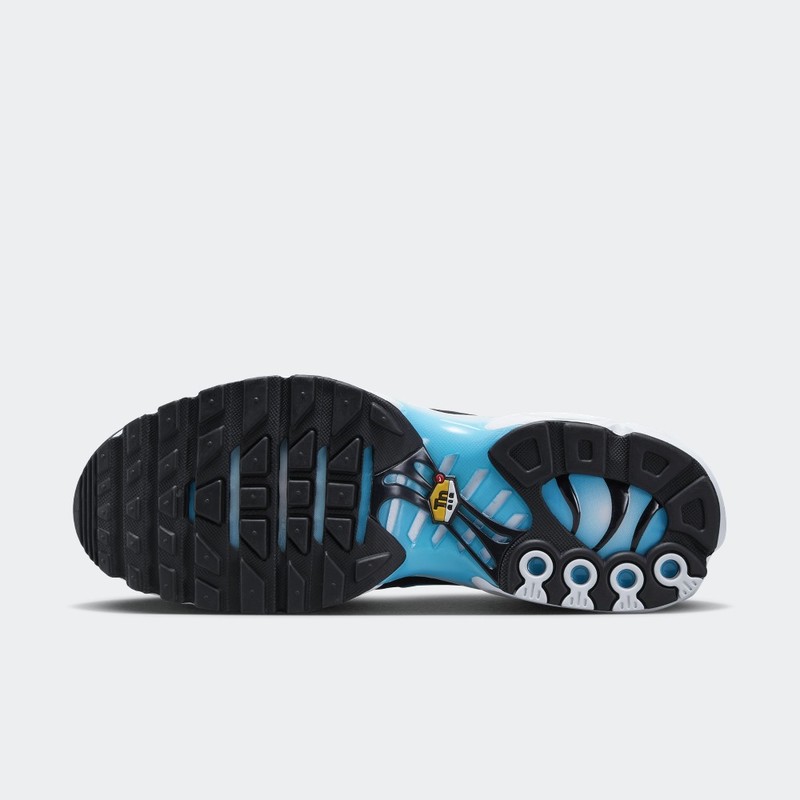 Nike Air Max Plus Baltic Blue | FD9751-100
