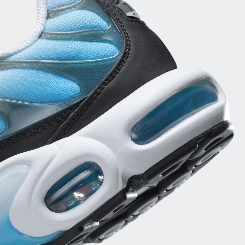 Nike Air Max Plus Baltic Blue | FD9751-100
