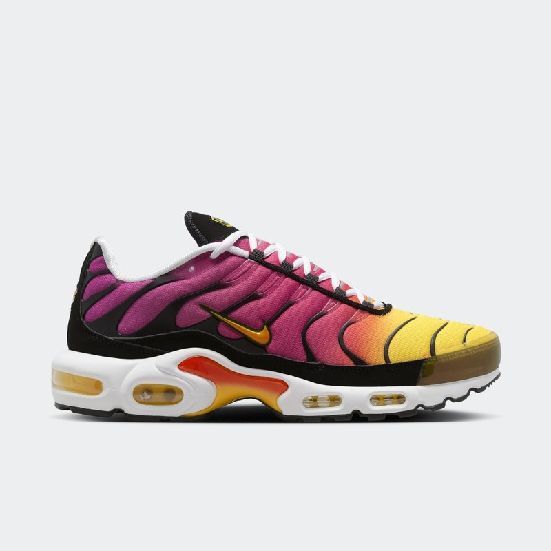 Nike Air Max Plus Rainbow | DX0755-600