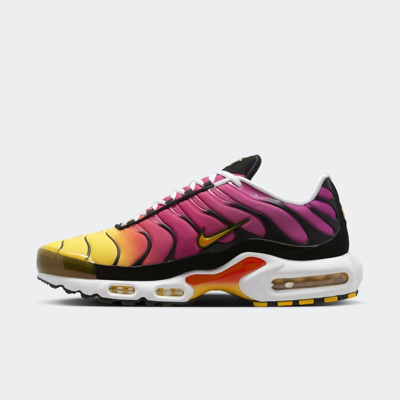 Nike Air Max Plus Rainbow | DX0755-600
