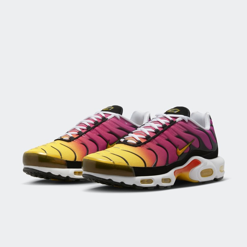 Nike Air Max Plus Rainbow | DX0755-600
