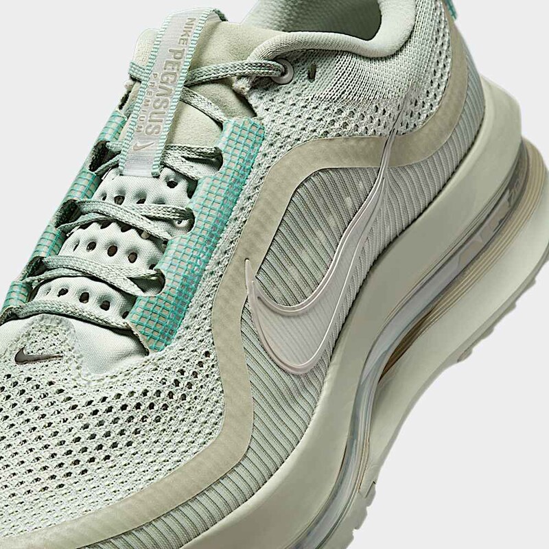 Nike Pegasus Premium "Jade Horizon" | HQ2592-300