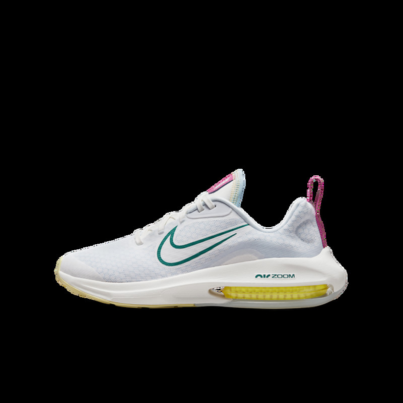 Nike Air Zoom Arcadia 2 | DM8491-100