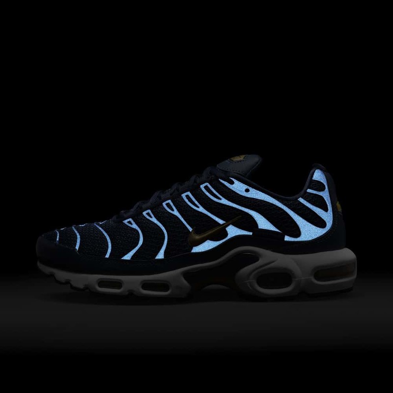 Nike Air Max Plus FFF | FB3350-400