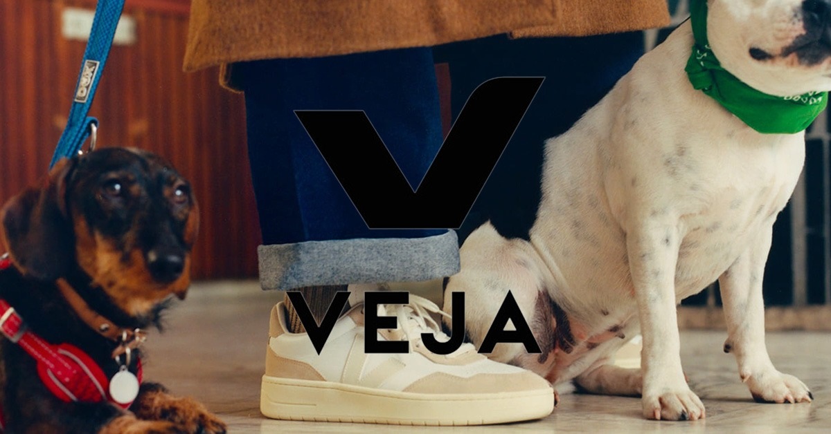 Veja Sneaker Review - What's Behind the Hype?