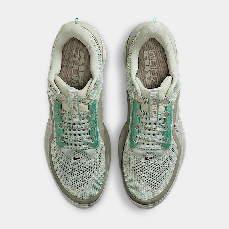 Nike Pegasus Premium "Jade Horizon" | HQ2592-300